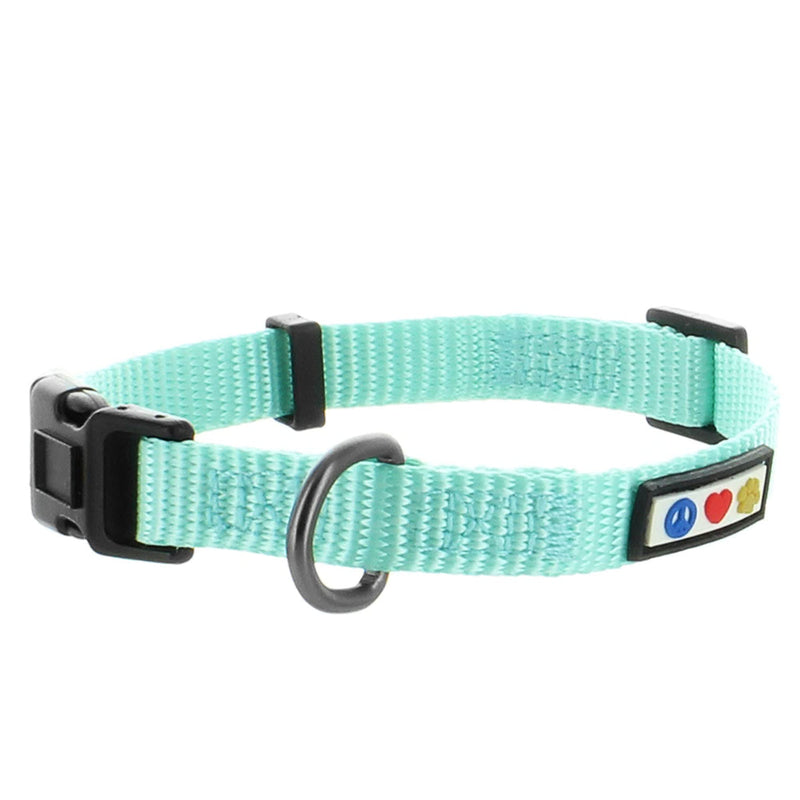 Pawtitas Value Bundle Set | Small Step in Dog Harness + Small Dog Collar + Extra Small/Small 6ft Dog Leash - Teal Set - PawsPlanet Australia