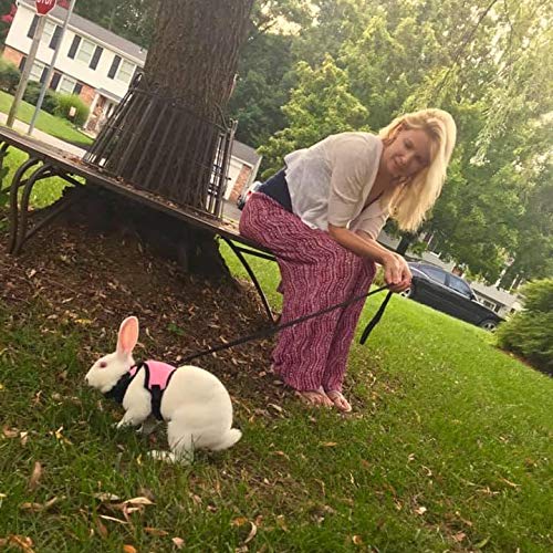 PETTOM Bunny Rabbit Guinea Pig Harness Stretchy Elastic Leash Cute Soft Mesh Small Pet Harness No Pull Comfort Outdoor Walking Jogging Padded Vest for Ferret Guinea Pig (Pink,L) L(Chest:10.6-13.3 in) Pink