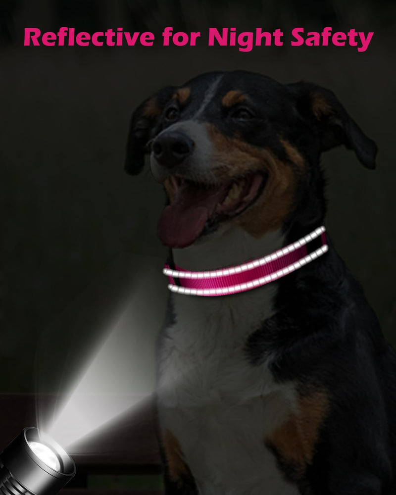 Padded Martingale Collar for Dogs | Neoprene Martingale Dog Collars | Reflective Nylon Martingale Collar | Adjustable Dog Martingale for Small Medium and Large Dogs Large(pack of 1) Hot Pink - PawsPlanet Australia