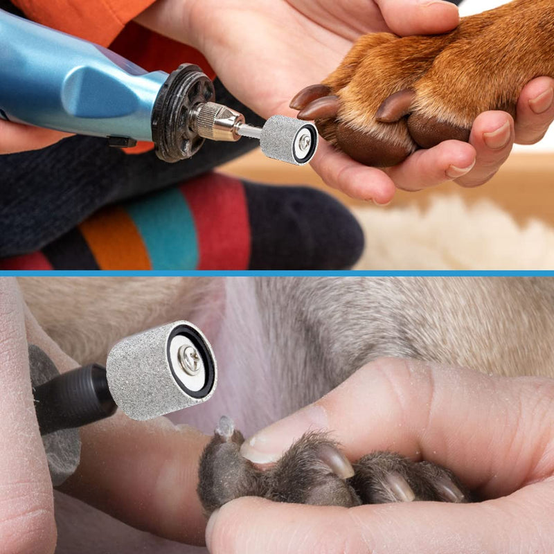 120&80 Grit Diamond Bit for Dog Nails Grinder Including 2pcs 1/2" Mandrel - Pet Nail Grinder Diamond Wheel (Finishing #120 Coarse #80) 4pcs - 120 & 80 Grit (2 Bits + 2 Mandrels 1/2") - PawsPlanet Australia