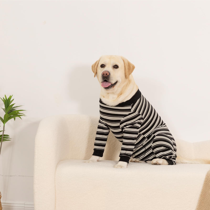 Dog Recovery Suit Female Spay Surgical for Dogs After Surgery | Anti-licking, wound protection, breathable, lightweight, collar alternative, button closure design, for small medium dogs Black L