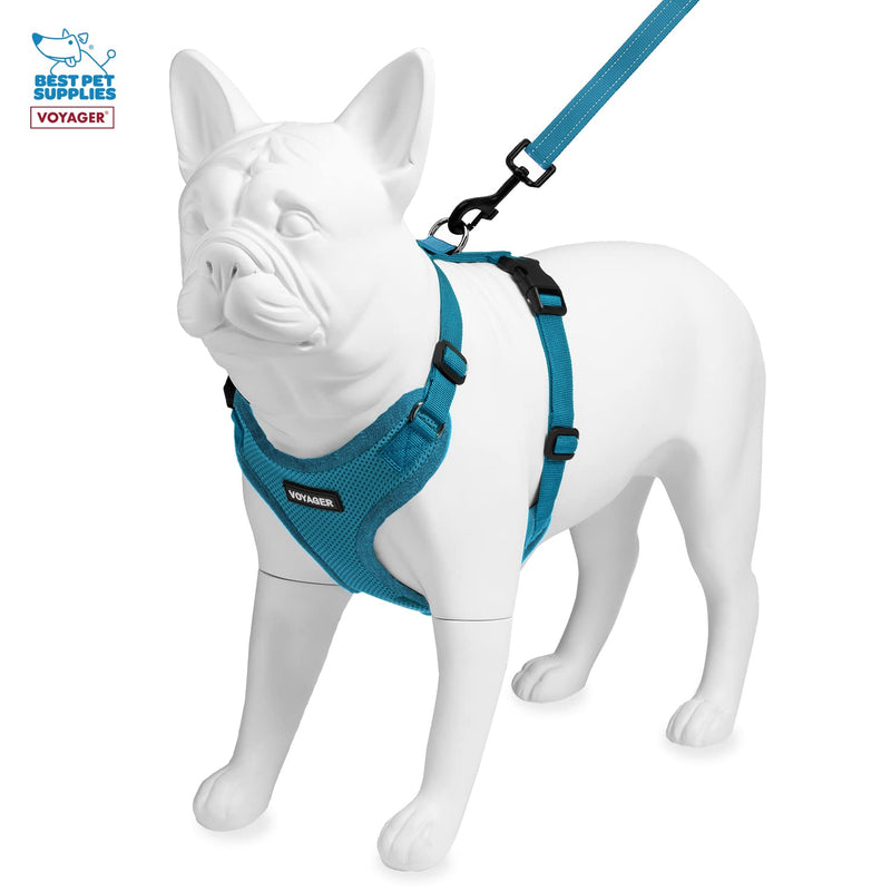 Voyager Step-in Lock Dog Harness w Reflective Dog Leash Combo Set with Neoprene Handle 5ft - Supports Small, Medium and Large Breed Puppies/Cats by Best Pet Supplies - Turquoise, XS - PawsPlanet Australia