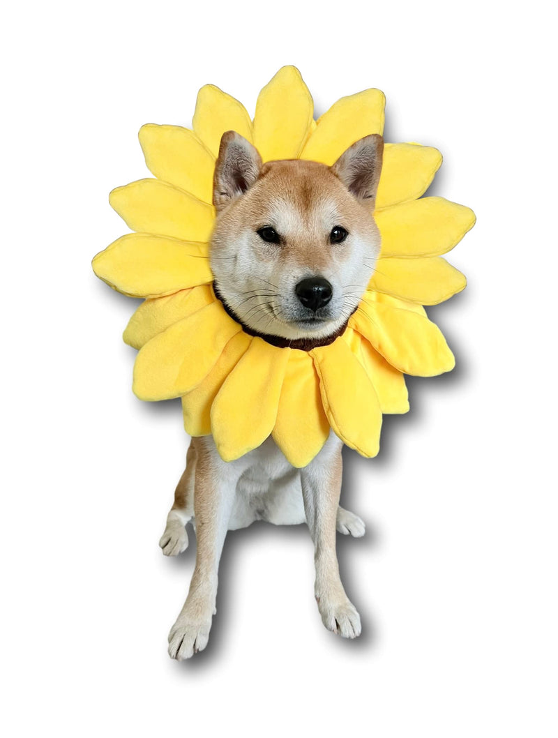 ComfyCamper Sunflower Dog Costume for Small Medium Large Dog Puppy Puppies Cat Kitten – Cute Head Flower Headband Outfits – Collar Cone Costume Hat Sombrero Outfit Pet Cosplay Halloween (Medium) - PawsPlanet Australia