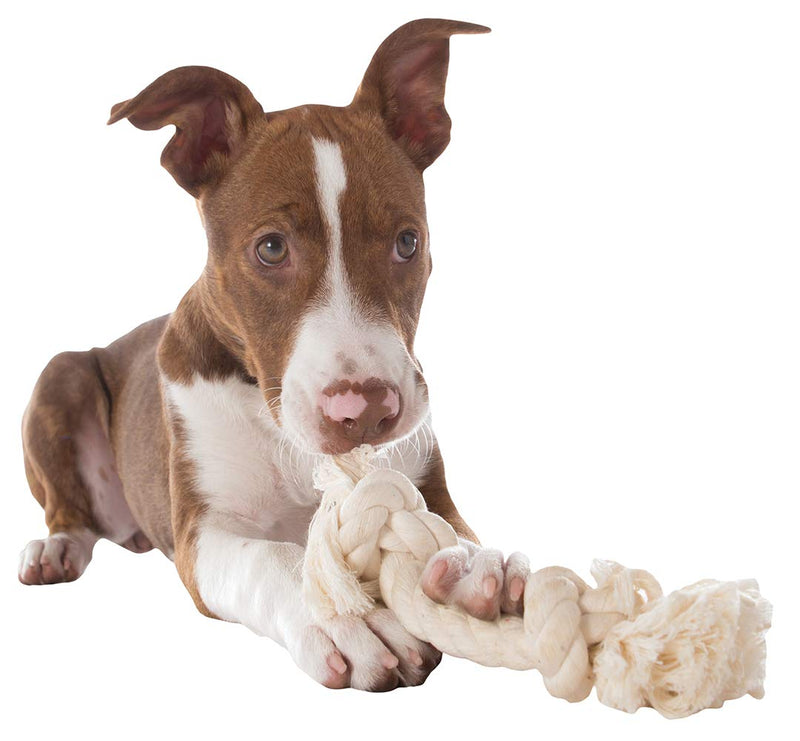Mammoth Flossy Chews 100 Percent Natural Cotton Rope Dog Toys - Premium White Knot Dog Rope Toy - Interactive Dog Tug Toy - Tug Dog Chewy Toy for Small Dogs - Small 9" Small 9" 2 Knot Rope Bone - PawsPlanet Australia