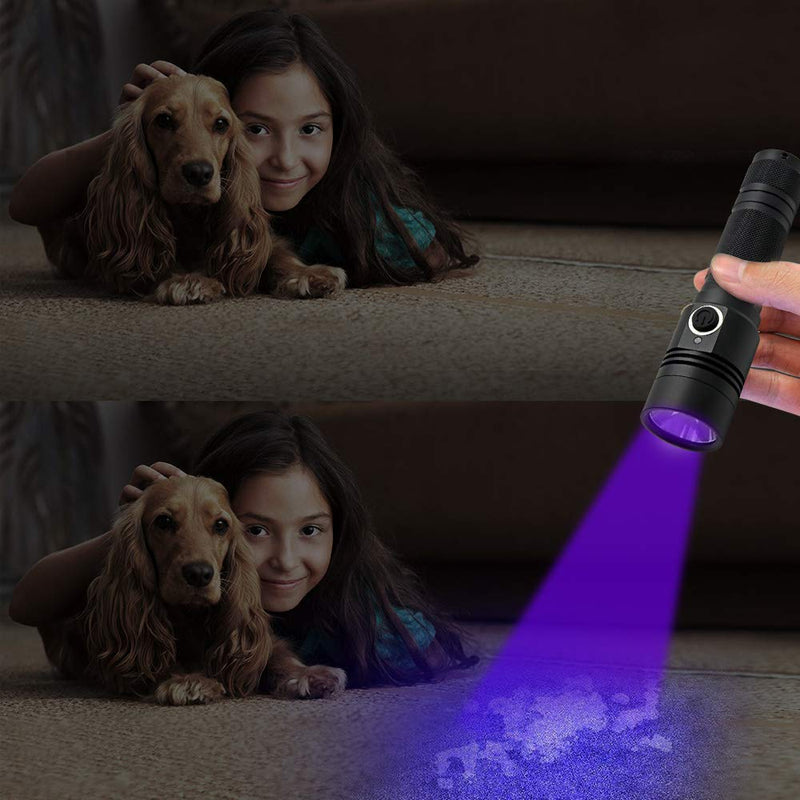 395nm UV Flashlight, Rechargeable Black Light Flashlight, LED Flashlight IP65 Water-Resistant Pet Urine Detector for Dog Cat Stains, Scorpion, Bed Bug, Household - PawsPlanet Australia