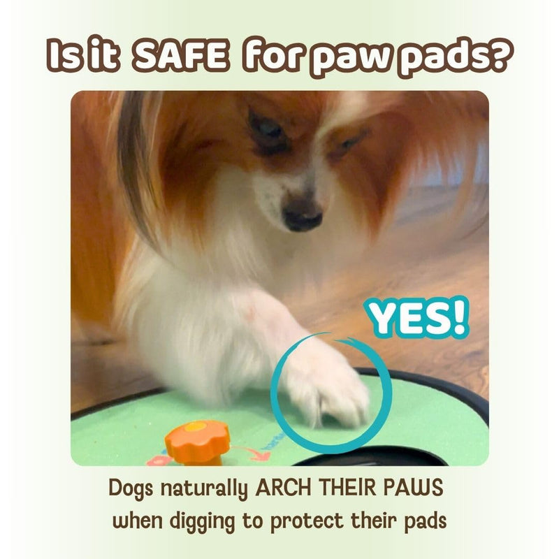 Pawdazzle Refill Pack – 5 Replacement Sandpaper Sheets for Dog Nail Scratch Board – Stick-On Dog Nail File Refills for Safe at-Home Grooming - PawsPlanet Australia