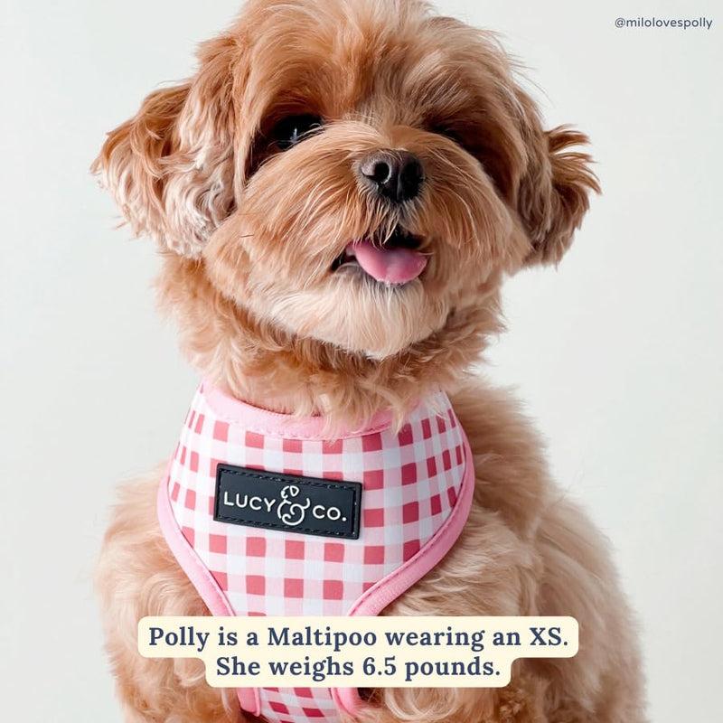 Lucy & Co. Cute Reversible Dog Harness Walking Halter - Best Designer Pet Harnesses for XS - XL Dogs - Padded Adjustable Vest for Easy Walking (Medium, Ballet Bows - White & Pink Bows) Medium The Take a Bow Dog Harness - PawsPlanet Australia