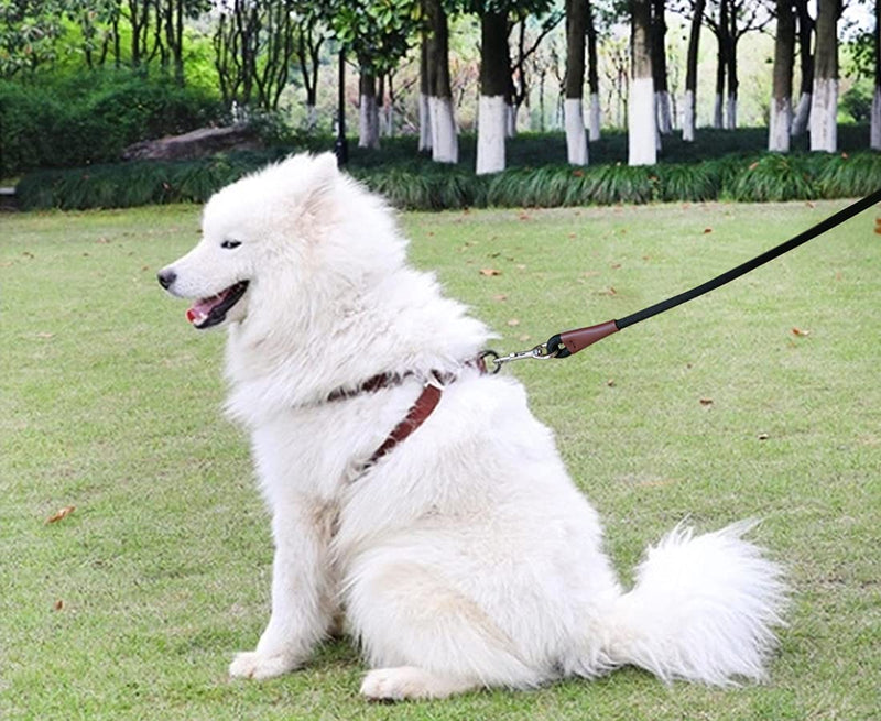 MayPaw 4FT/6FT/8FT/10FT Dog Leash, Classic Solid Colors, Strong Nylon Rope Dog Leash Reinforced with Leather Tailor Connection Heavy Duty Silver Clasp, 6 Foot Dog Leash Black 6ft*1/2" - PawsPlanet Australia