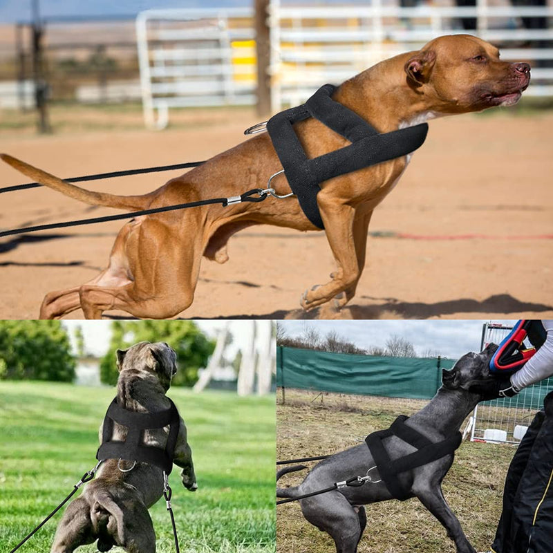 Forestpaw Heavy Duty No Pull Dog Harness for Training-Tactical Vest with 3 Metal Rings,Soft Padded Sled Harness for Medium to Large Dogs,Chest fits 23-28.5" Solid Chest:23-28.5",Neck:20" - PawsPlanet Australia