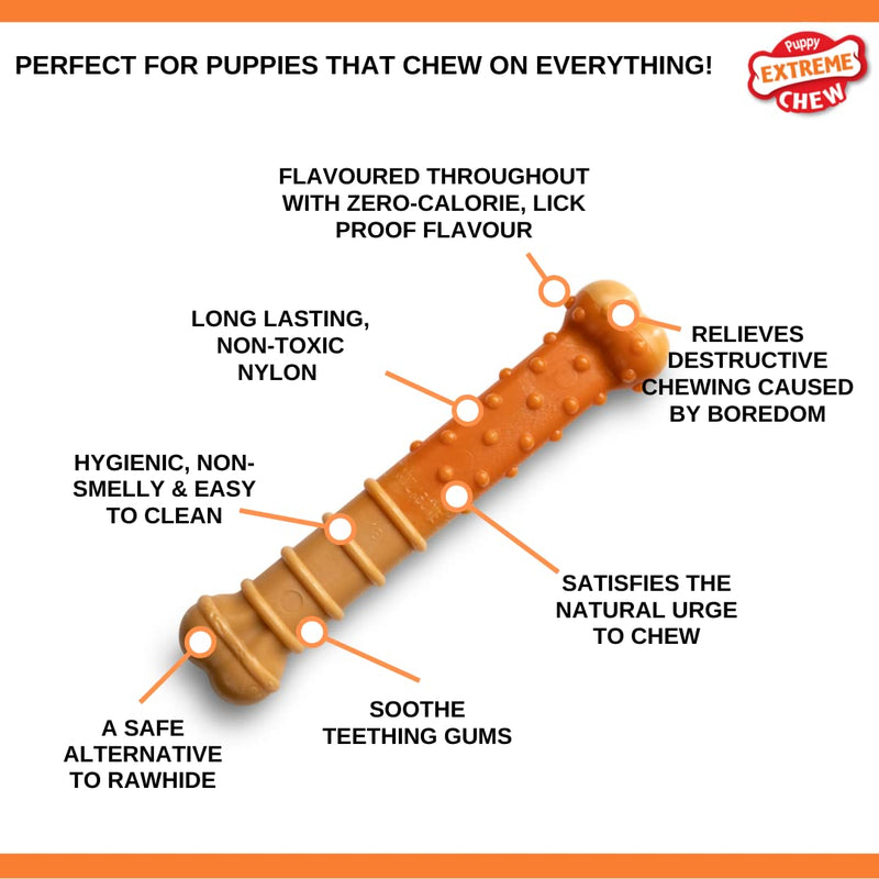 Nylabone Puppy Extreme Tough Chew Toy Bone, Beef Stew & Veg Flavour, Large - PawsPlanet Australia