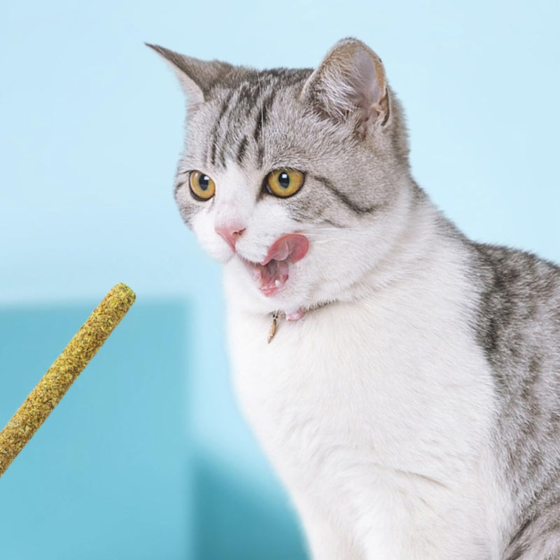 STOBAZA Edible Cat Licks for Dental Care and Improved Tongue Movement, 12 Pieces with Catnip and Bile Fruit for Indoor Cats at Home