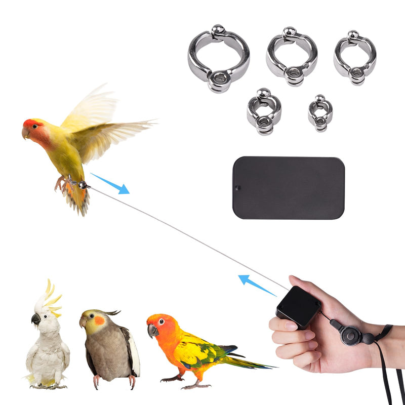 19.69Ft Retractable Bird Leash, with 5 Different Size Foot Ring and Feeder Box, Anti-Bite Parrot Harness Bird Flight Training Rope for Budgies, Cockatiels, Psittacula Longicauda, Mini Macaws 19.69FT - PawsPlanet Australia