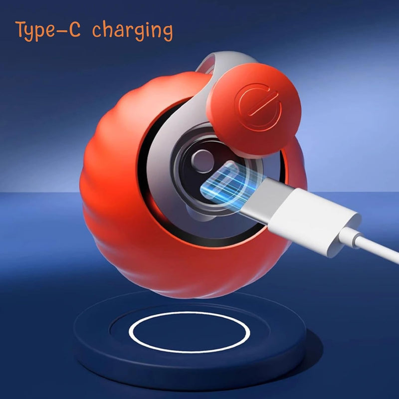 Speedy Tail 2.0 Cat Toy, 2025 New Speedy Tail Cat Toy, Interactive Cat Ball Toy, USB Rechargeable Smart Cat Toys Ball, Two Speed Adjustment, with Replacement Tail (Orange) Red - PawsPlanet Australia