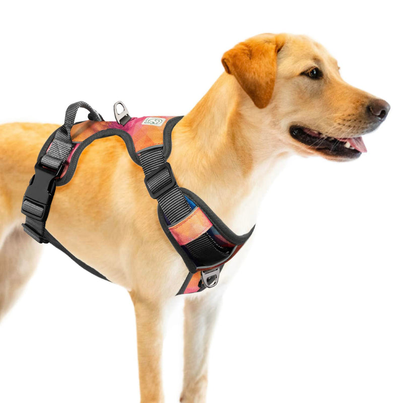 Embark Urban Dog Harness with Sierra Leash with Leash Clips, 6 feet of Leash Length, Adjustable, Soft & Padded for Comfort, No Chafing, rubbing or discomfort for Your Dog (Large)