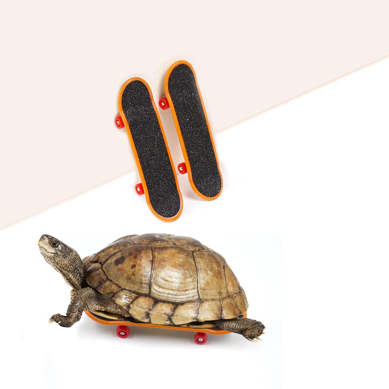 2 PCS Turtle Skateboard, Funny Turtle Skateboard for Real Turtle, Pet Turtle Playing and Training Toy Accessories, Mini Skateboard Toys for Bearded Dragon Parrot Reptile Small Animals - PawsPlanet Australia