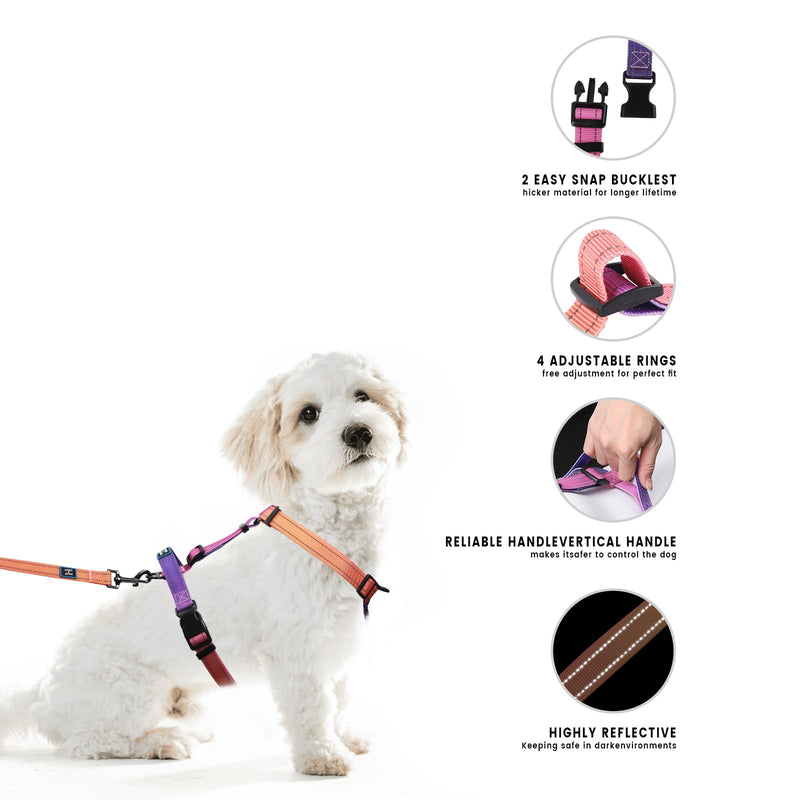 Roses&Poetry Small Dog Harness and Leash Set, No Pull Dog Harness Adjustable Reflective, Dog Halter Harnesses Comfort Padded Handle, Pet Harness for Training Outdoor Walking（Mistyrose-S S Mistyrose - PawsPlanet Australia