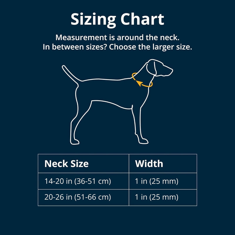 Ruffwear Knot-a-Collar Large Dog Collar, Climbing Rope Reflective Pet Dog Collar with Aluminum V-ring Dog Lead Attachment, Adjustable & Strong for Dog Walking, Size L (51-66cm), Obsidian Black