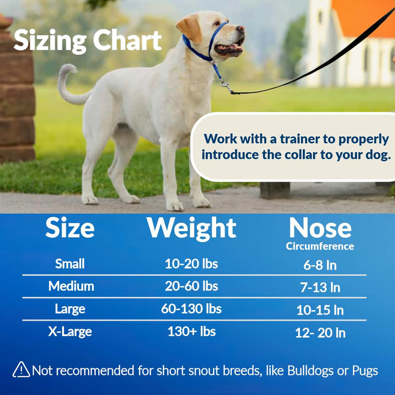 Headcollar for Dogs, Extra Soft Padded, Reflective, No Pull Dog Collar, Gentle Leader for Dogs with Durable Nylon Leash, Padded Handle - Navy Blue (Medium) Medium - PawsPlanet Australia