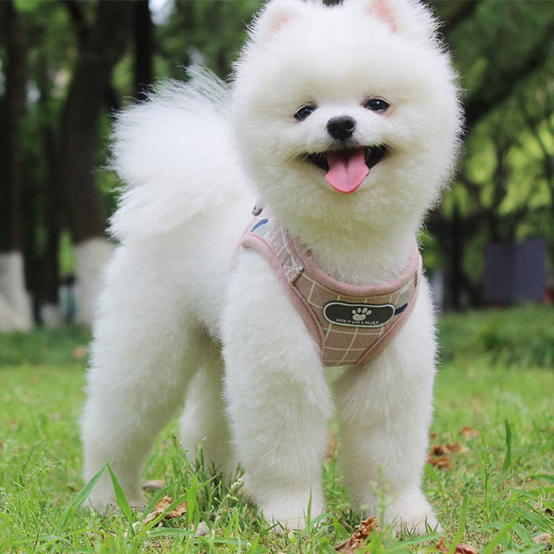 FEimaX Dog Harness and Leash Set, No-Pull Breathable Soft Mesh Puppy Vest Harness Reflective Adjustable Pet Harnesses for Small Medium Dogs and Cats - Outdoor Easy Control for Walking Plaid Pink XS (Chest 10.2-11.4'') - PawsPlanet Australia