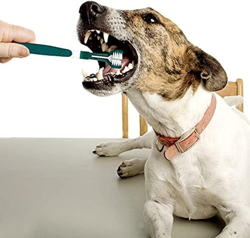 Green Dog Toothbrush, Triple Headed Toothbrush Dog Toothbrush for Pet, Pet Supplies