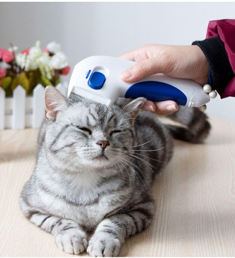 Pet Combs ，Electric Pet Combs Dog/Cat Comb, Cat Hair brush,suitable for electric beauty combs for for Long and Short Hair Cat Dog Puppy Bunny - PawsPlanet Australia