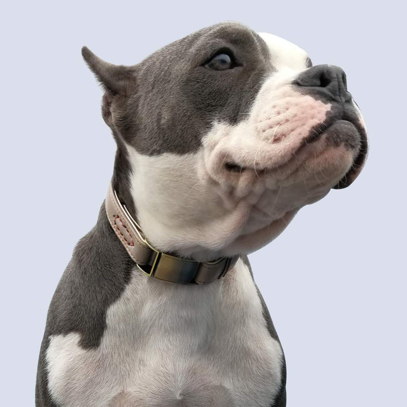 chede Basic Classic Luxury Padded Leather Dog Collar,The Seatbelt Buckle,for Large Medium Small Pets (M, Khaki) M-0.8"×(12"-15") - PawsPlanet Australia