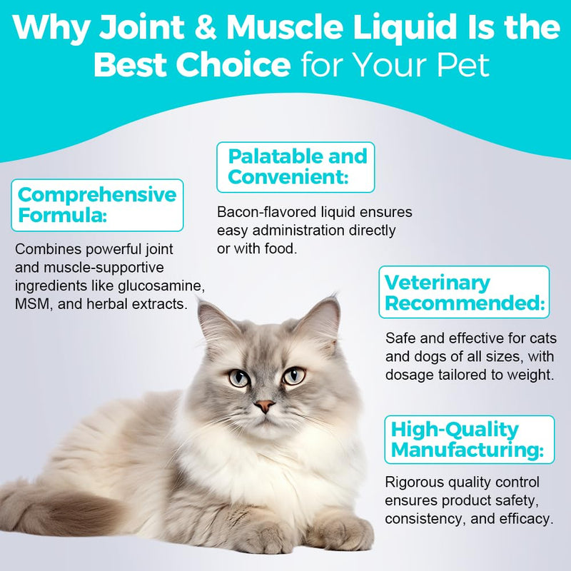 Pets Joint & Muscle Support Liquid for Cats & Dogs - 120mL | Promotes Mobility, Reduces Inflammation & Enhances Flexibility | Easy-to-Use Supplement for Active & Aging Pets - PawsPlanet Australia
