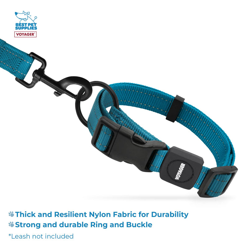 Best Pet Supplies Reflective Dog Collar with Adjustable Length, Heavy-Duty Buckle, and Strong Leash D-Ring, Training, Walking, Jogging Accessory for Small, Medium, and Large Breeds - Turquoise, L - PawsPlanet Australia