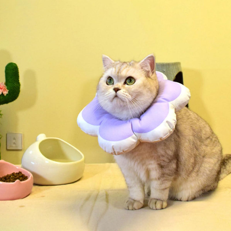 Soft scratchy cat collar, PP cotton, purple, multifunctional, anti-protection, simple design, protective collar for surgeries
