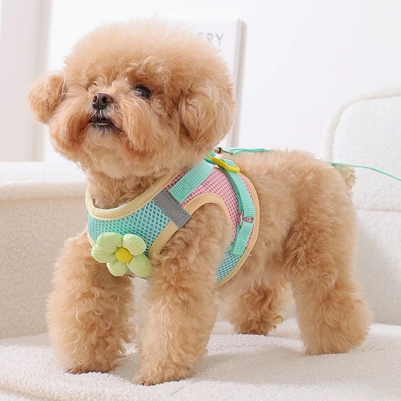 Floral Mesh Dog Harness with Matching Leash, Summer Lightweight Pet Vest, Pink/Yellow (Pink, M:8-12lbs) - PawsPlanet Australia