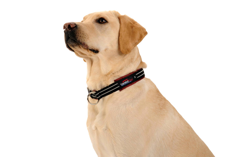 ComfortFlex Martingale Dog Collar - Made in The USA - 1.5" Wide, Reflective, Adjustable, Fully Padded Nylon, Gentle Control, Escape-Proof, Limited Slip Design, Medium, Hot Pink - PawsPlanet Australia