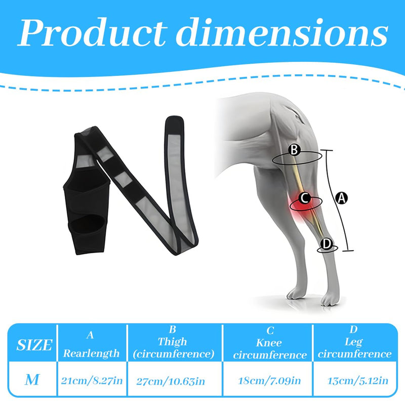 EIHI Knee Support Dog Rear Leg for Left Leg - Made of Neoprene, for Cruciate Ligament Tear, Ligament Injuries, Patella Luxation or Osteoarthritis - Size M