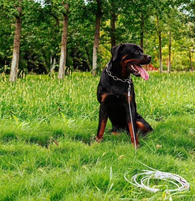 15 FT Dog Tie Out Cable and Stake Dog Runner for Yard Dog Tie Out Cable and Stake Dog Stakes for Outside, Camping(15ft Cable, 16" Stake, Silver) - PawsPlanet Australia