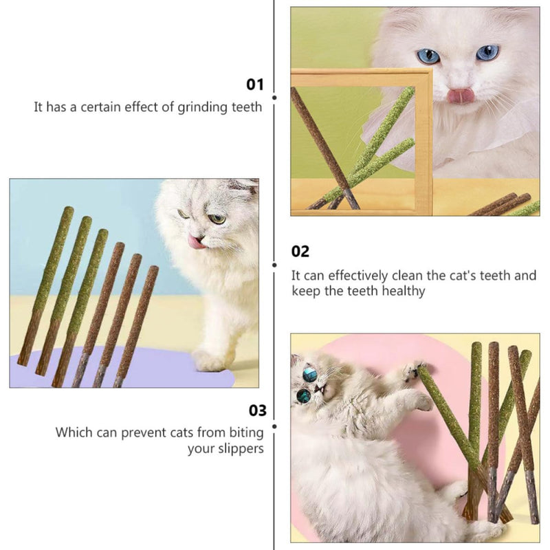 CLISPEED Cat Licking Sticks for Dental Cleaning and Care made from Catnip and Gall Fruit, 12 Pieces, for Indoor Use at Home