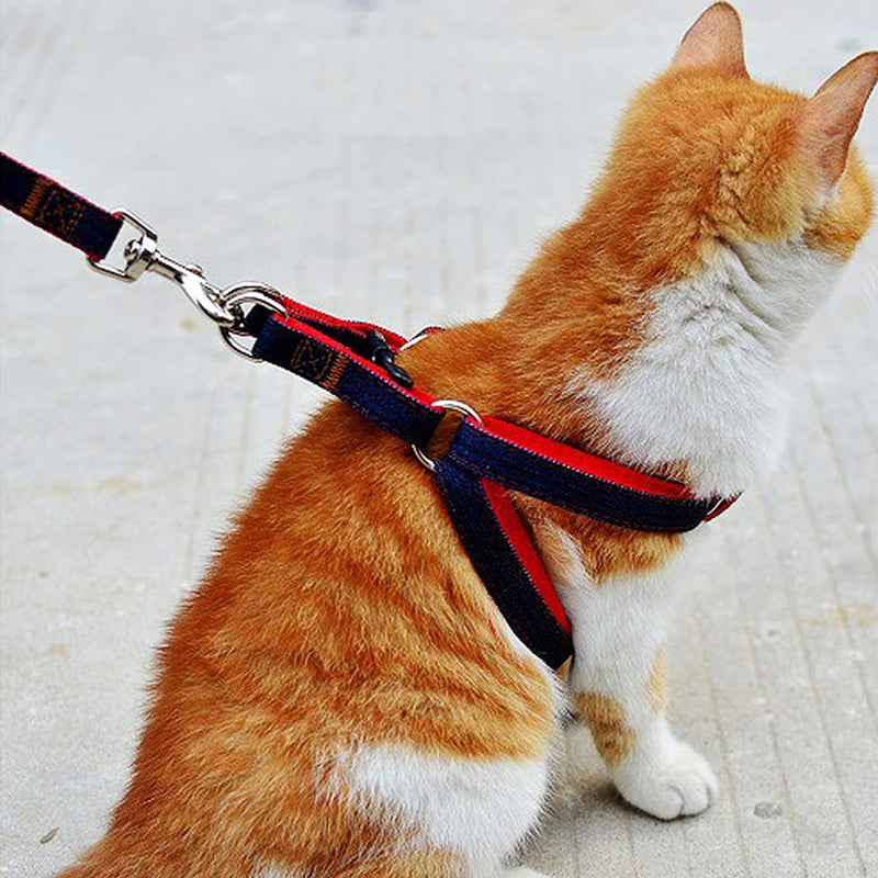 3 Pack Adjustable Cat Harness with Leash Collar Set，Escape Proof Kitten Walking Jacket，Soft Breathable Pet Vest for Kitten Kitty Cat Puppy Small Dog - PawsPlanet Australia