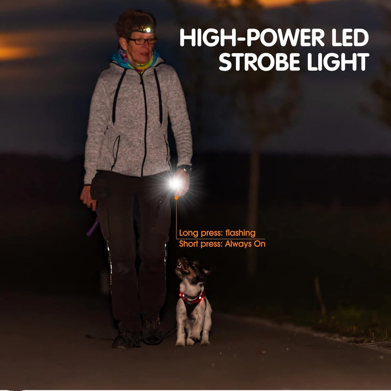 Anti Barking Devic-Dog Bark Control Device,Stop Bad Behavior-Rechargeable Ultrasonic Barking Handheld for Dogs -Professional Pet Trainer,Dog Silencer with LED Bright Flashlight Green