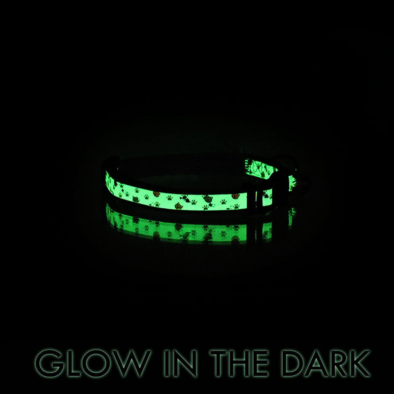 Pawtitas Glow-in-The-Dark Cat Collar – Adjustable Safety Collar with Breakaway Buckle & Removable Bell, Orange - PawsPlanet Australia