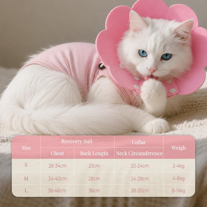 WALLFID Cat Surgical Body with Cat Neck Cone, Recovery Suit after Surgery for neutered, injured, sore-licking and skin-problem cats (M) M