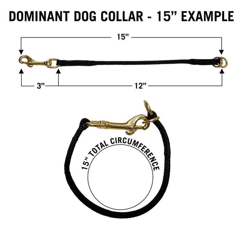 Nylon Dominant Dog Choke Collar Black, 17 inch - PawsPlanet Australia