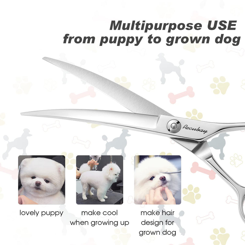 Dog Cat Scissors for Grooming, Pet Shears for Thick Coats and Matted Hair, Thinner Curved Straight Chunker Stainless Steel Shears (8.0" Curved Silver) 8" Curved - PawsPlanet Australia