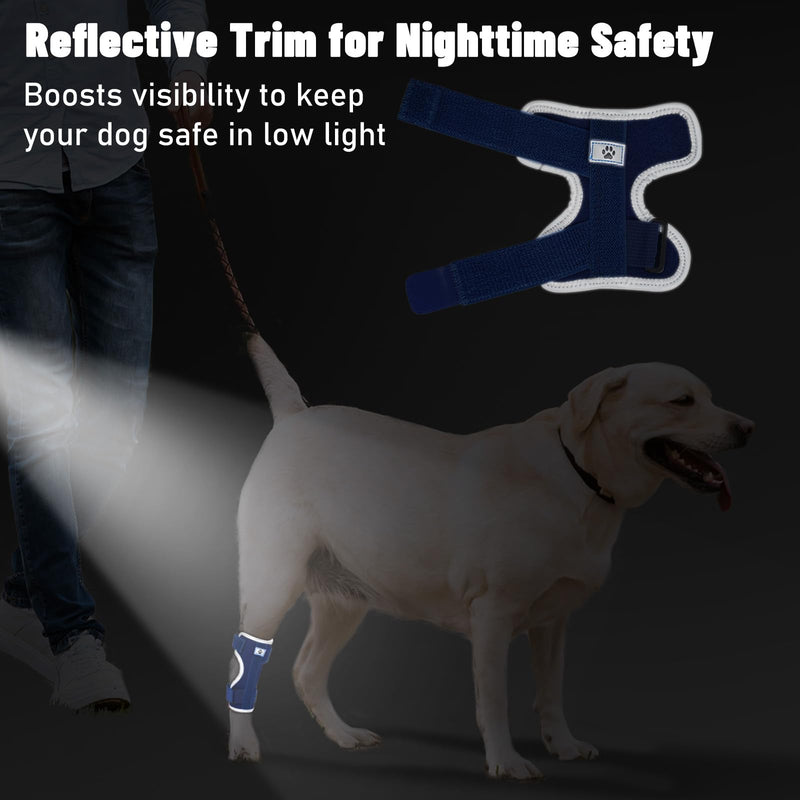 Dog Leg Braces for Back Leg- Hock and Ankle Joint Support Brace for Rear Legs with 2 Metal Strips, Reflective Edging for Sprain, Injury, Arthritis, Wound Recovery,Blue,XL