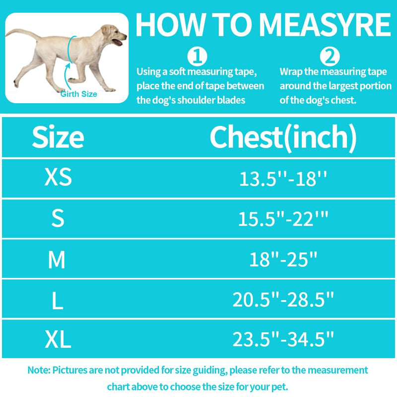Dog Vest Harness and Leash Set, Animire Reflective Service Dog Vest with 10 Patches, 3 Rings No Choke Pet Vest for Leash Placement, in Training Dog Harness for Small Medium Large Dogs(Teal,XL) X-Large(Chest: 23.5-34.5 Inch) Teal - PawsPlanet Australia