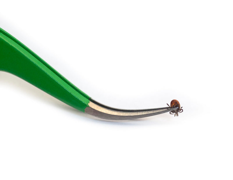 Premium Tick Remover Kit - Stainless Steel Tick Remover + Tweezers, Leather Case, and Free Pocket Tick Identification Card (1) 1 - PawsPlanet Australia