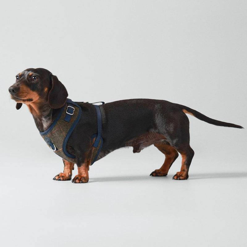 HUGO & HUDSON x HACKETT Tweed Dog Harness Adjustable No Pull Vest, Dark Green Checked Herringbone XS