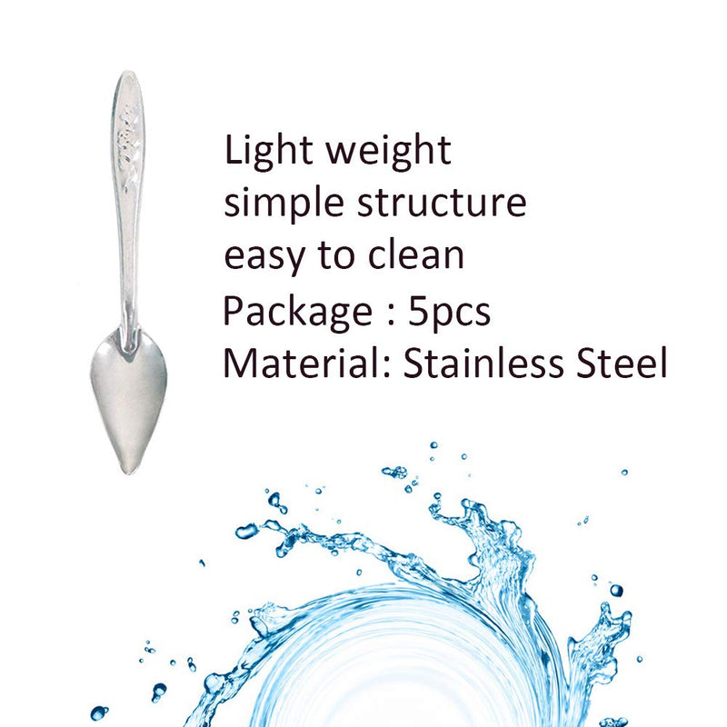 5 Pcs Bird Parrot Feeder Spoon Stainless Steel Milk Medicine Parrot Feeding Spoon for All Baby Bird Peony Cockatiel 4.7" - PawsPlanet Australia