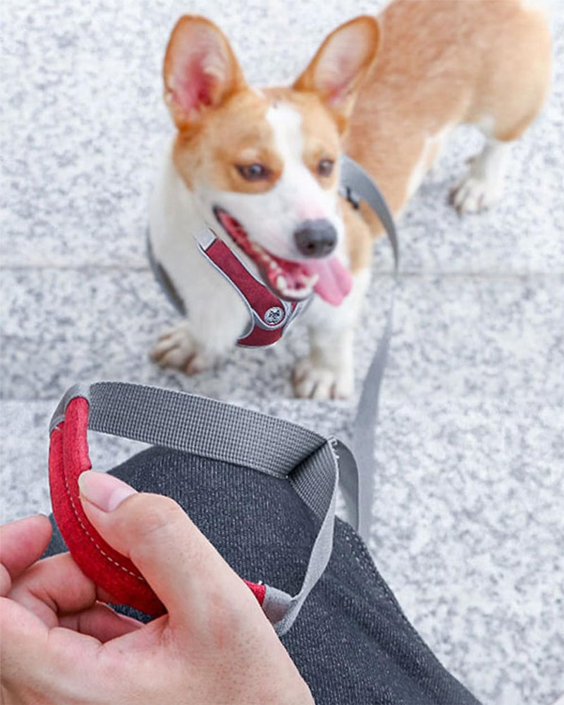 Dog Harness with Leash Set,No Pull Adjustable Vest Harness,Lightweight Easy Walk Dog & Cat Harness,Pet Harnesses Reflective for Puppy Small Medium and Large Dogs and Cats (Red, S) Red - PawsPlanet Australia