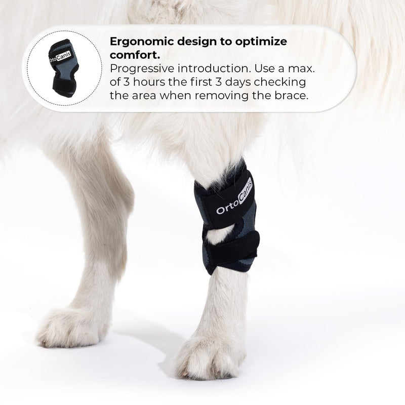 Ortocanis - Tarsal Support for Dog - Ankle Brace for Arthritis, Tarsal and Ligament Injuries, Osteoarthritis, Tendon Inflammations - Made of ARD Neoprene - Size: S 12,5-14 cm - 10.5-12 cm Size S.