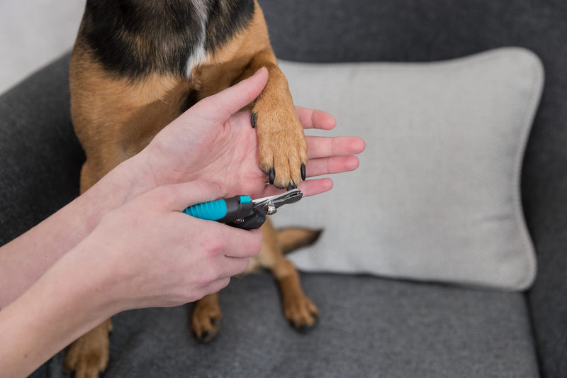 TRIXIE claw scissors for small dogs, cats, small animals and birds - with safety lock - limitation prevents strong shortening - stainless steel - rubberised plastic handle - blue/black - 12 cm - 2367 - PawsPlanet Australia