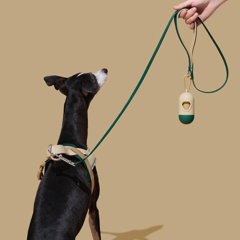 VETRESKA Dog Harness and Leash Set, Easy Walk Dog Harness for Small Medium Dogs, No Pull Puppy Harness for Walking and Training, Adjustable, Anti-Twist Leash (Santal Forest, XS) XS(Chest: 16.9"-22")
