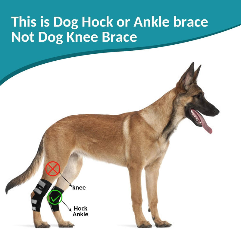 Dog Rear Leg Hock Brace 2 Pack, Joint Brace Used for Sprains, Hind Leg Support for Arthritis, Stability After Injury, Dog Hock (Ankle) Support (S) S